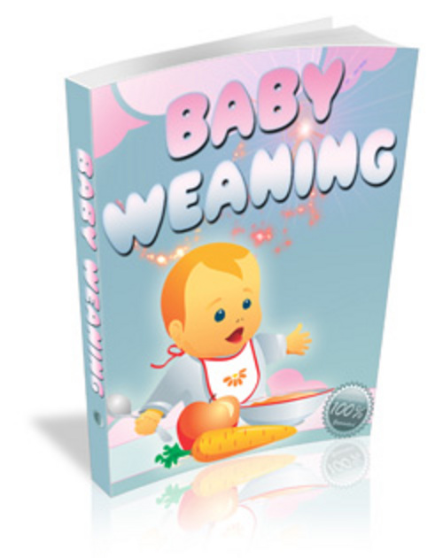 Product picture Baby Weaning make mony from web easy